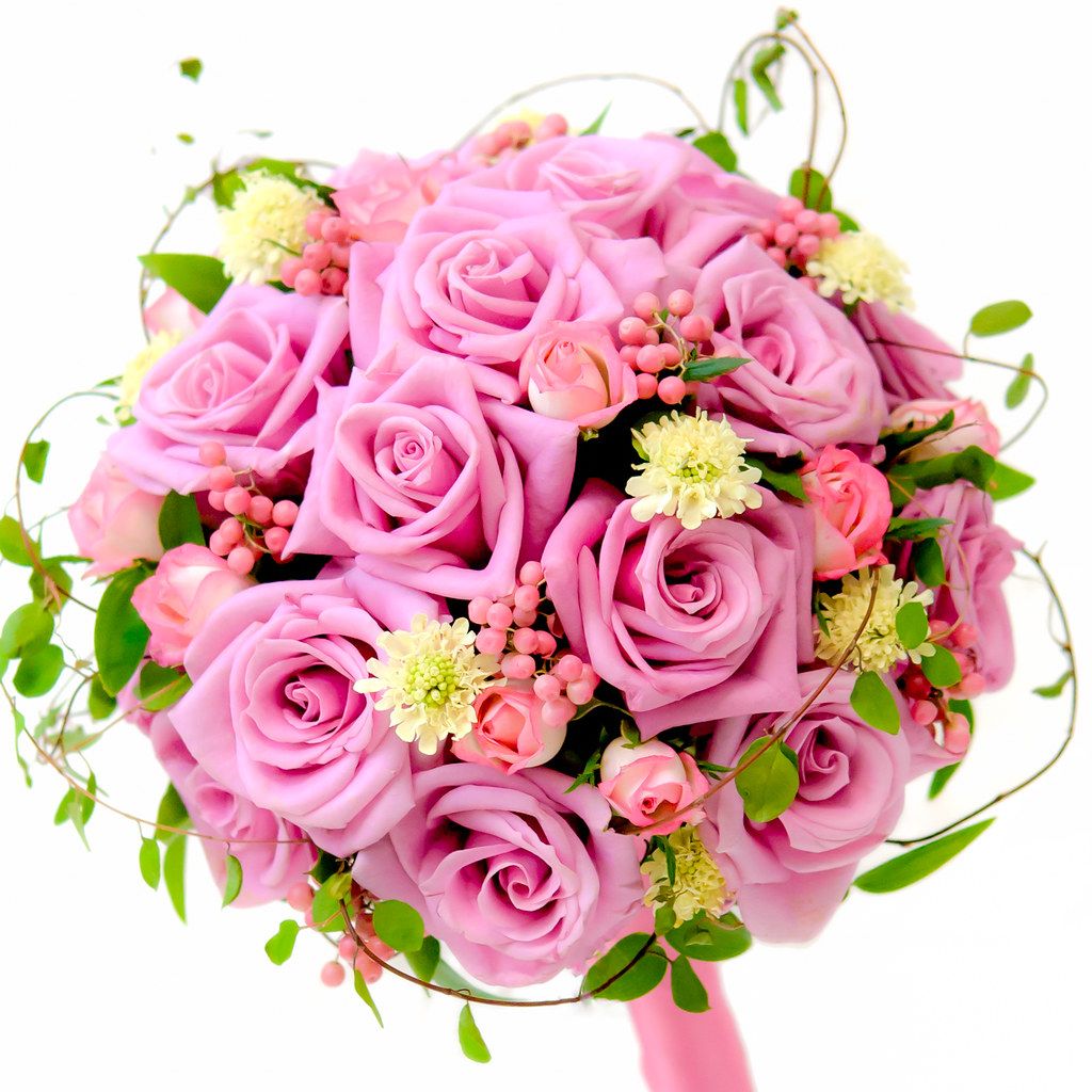 Blush Whisper